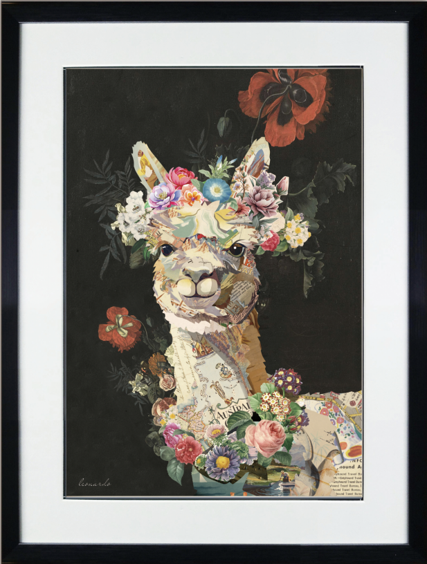 Colorful Frame catalog Relilink.pdf